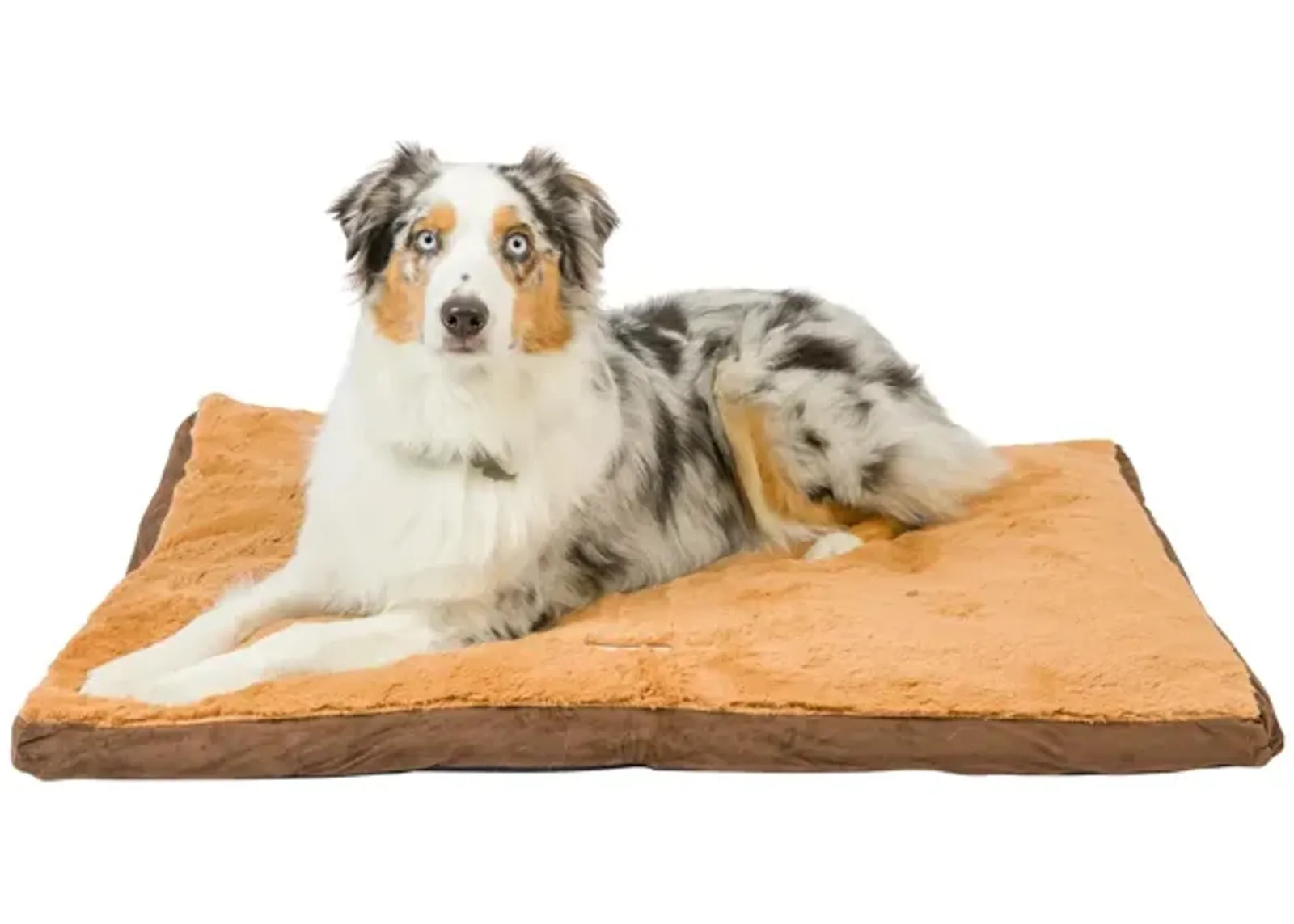 Aeromark Int'l Inc.Armarkat Brown Pet Bed, 47-Inch by 36-Inch by 5-Inch