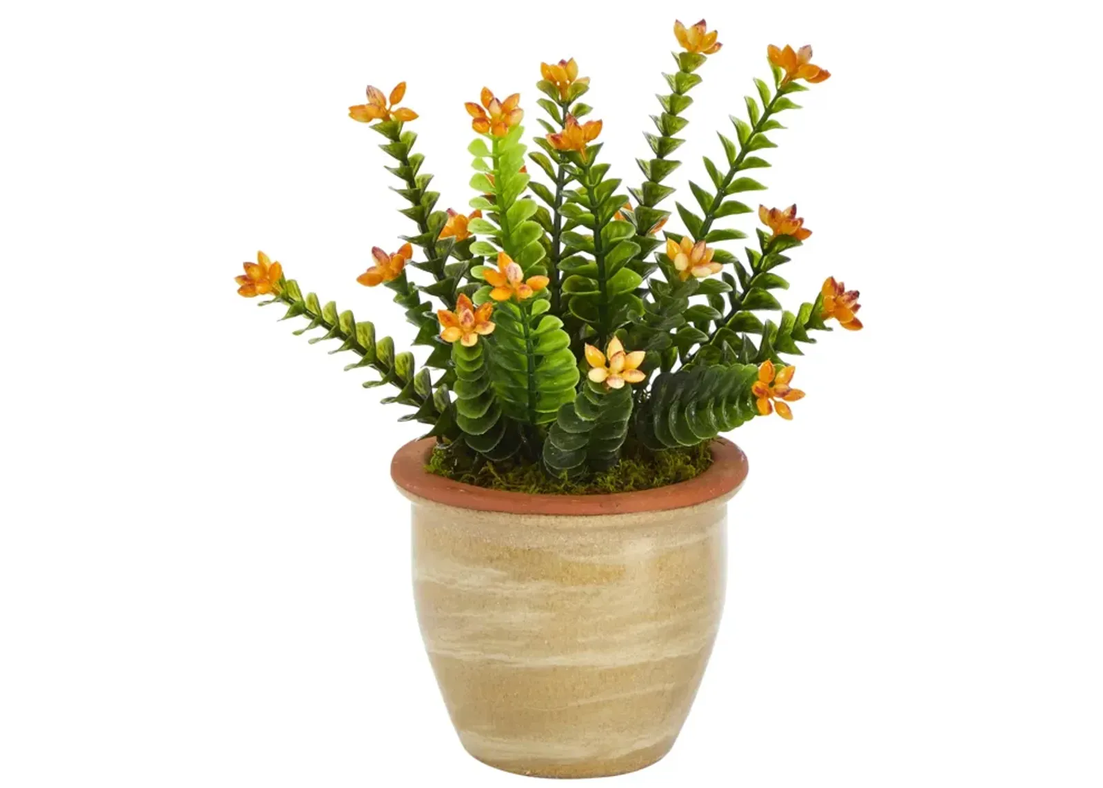 HomPlanti 10" Flowering Sedum Succulent Artificial Plant in Ceramic Planter