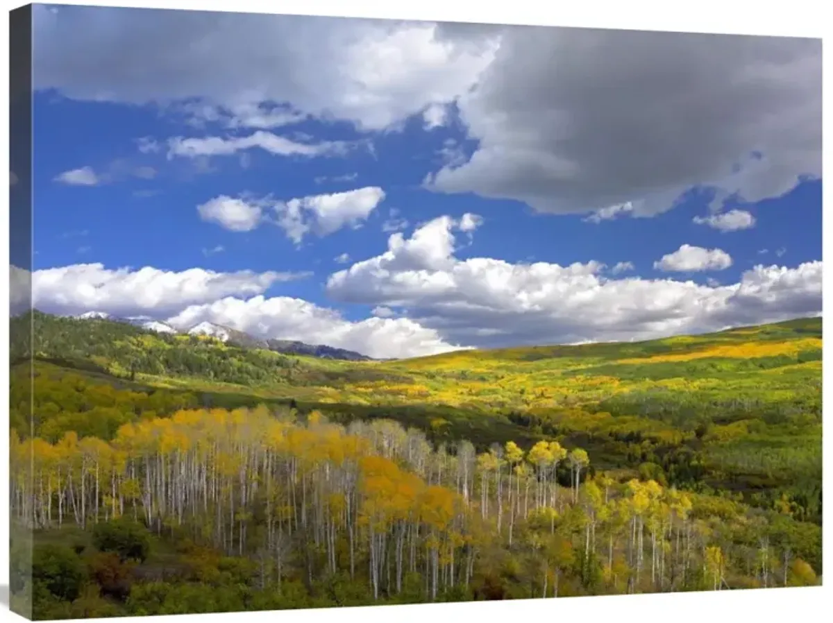 Gunnison National Forest in fall, Colorado-Canvas Art-32x24