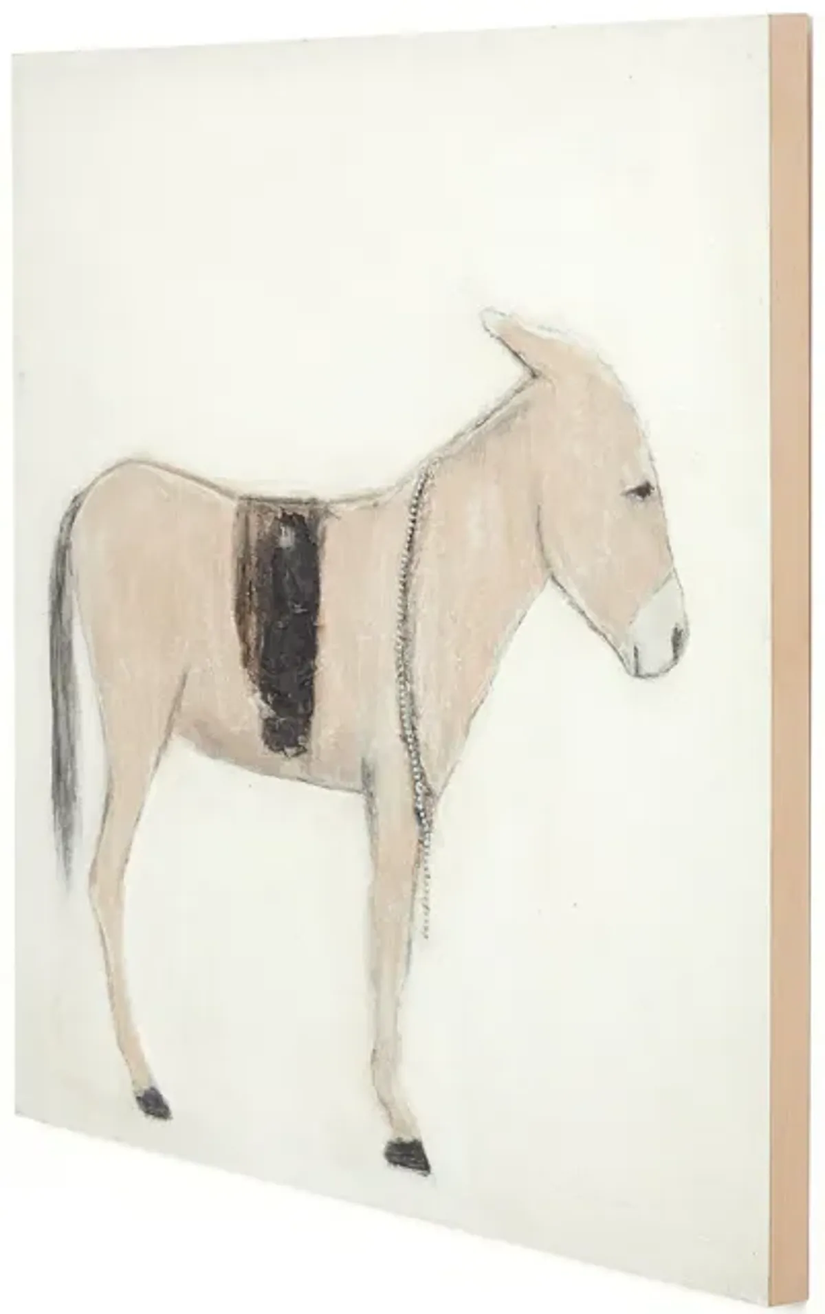 Burro Dia by Paul Meyer