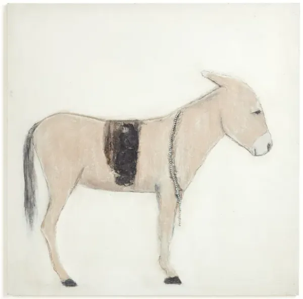 Burro Dia by Paul Meyer