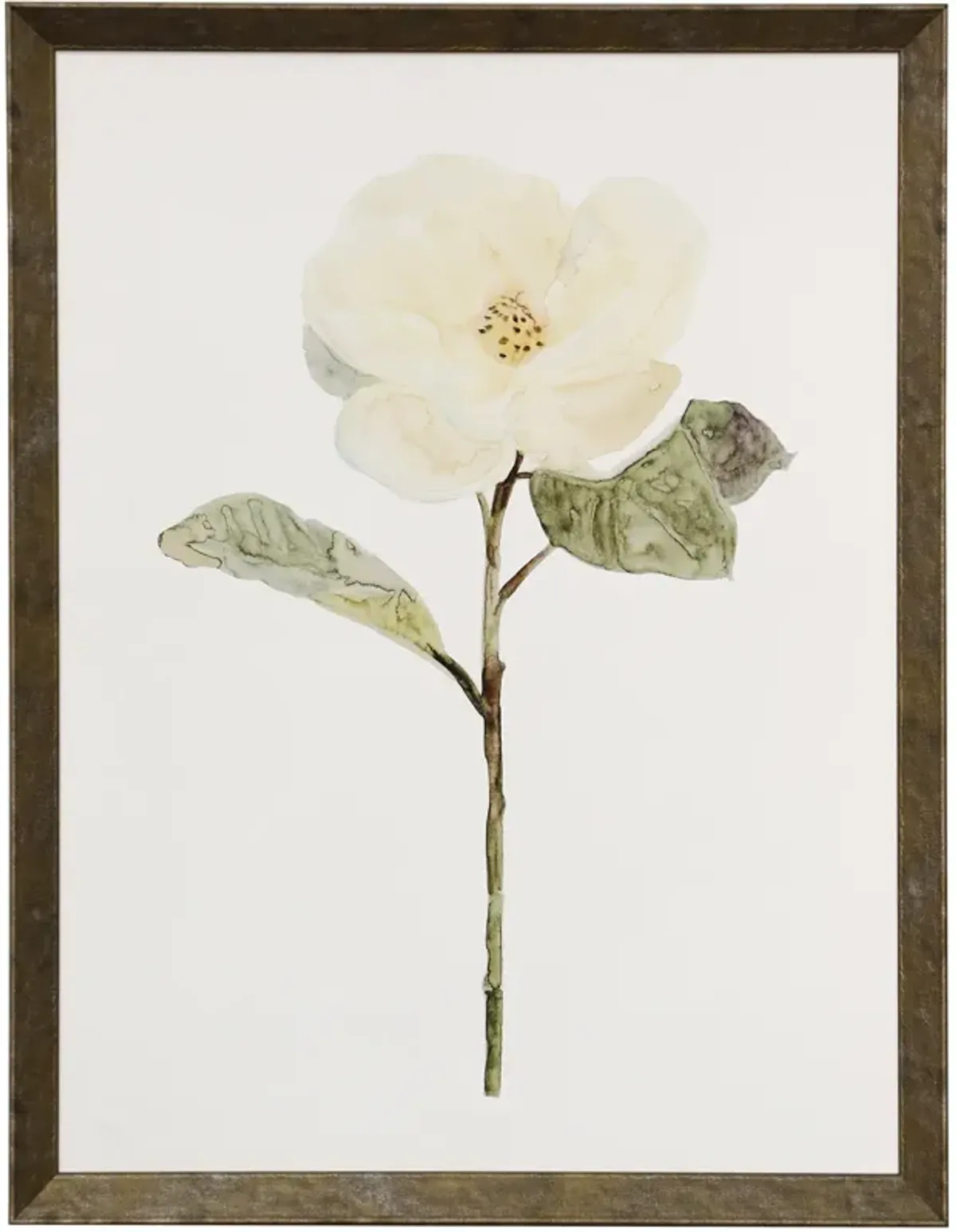 White Blossom II Framed Print