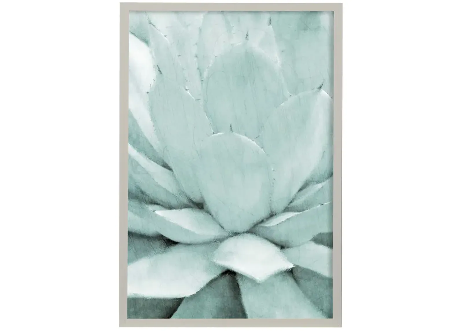 Agave I Framed Print