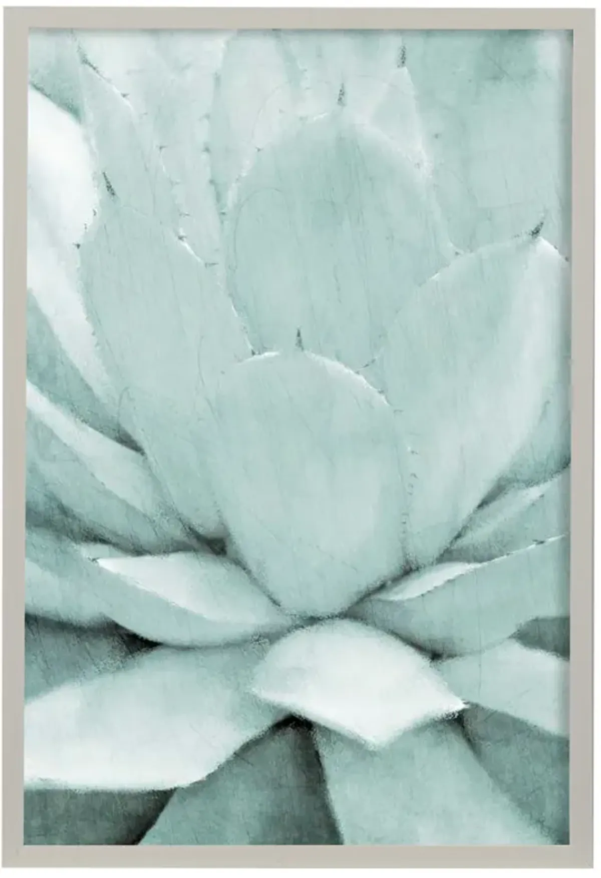 Agave I Framed Print