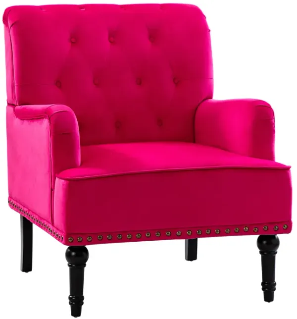 Bonifacio Armchair Fuchsia