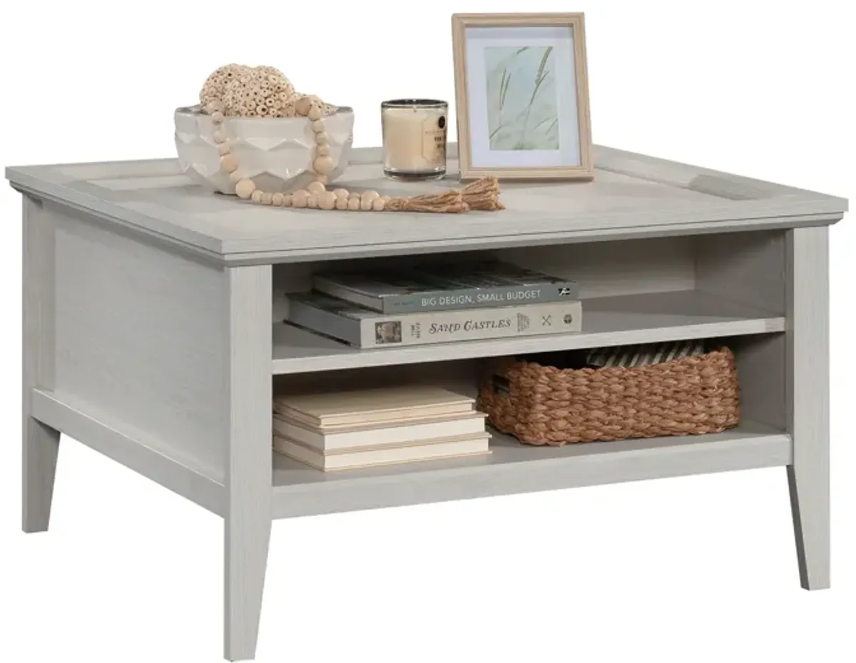 Larkin Ledge Storage Coffee Table