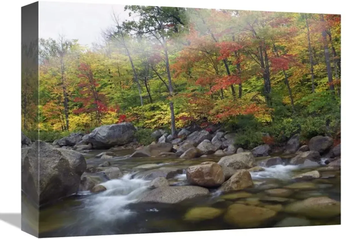 Swift River flowing through fall colored forest, White Mountains National Forest, New Hampshire-Canvas Art-16x12