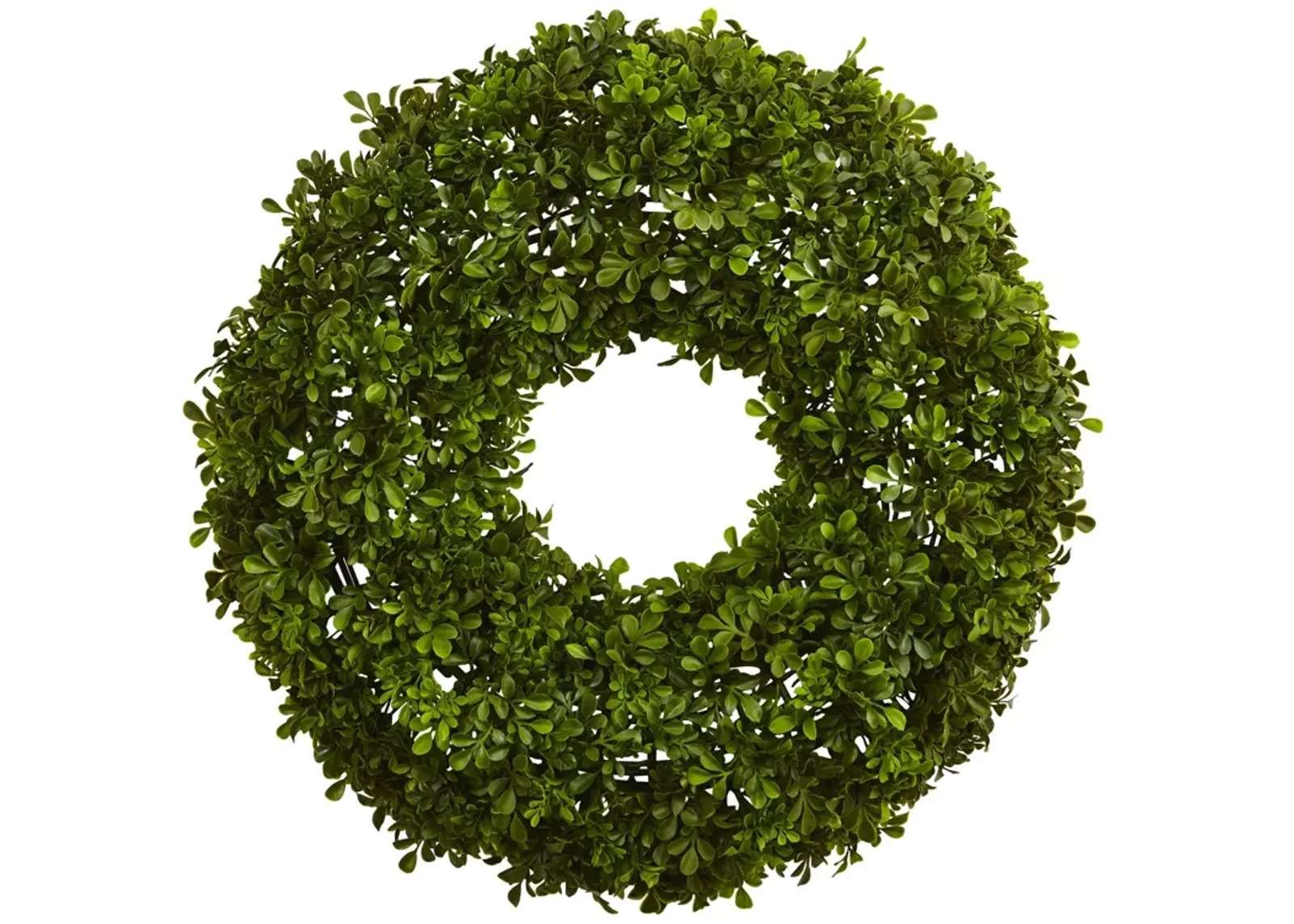 HomPlanti 22" Boxwood Wreath