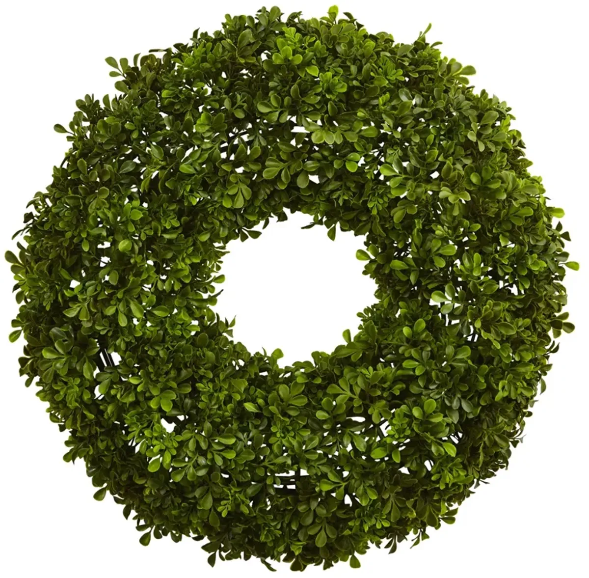 HomPlanti 22" Boxwood Wreath