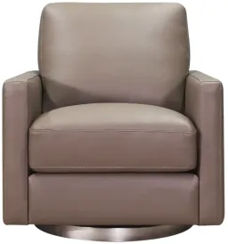 Taupe Brown color