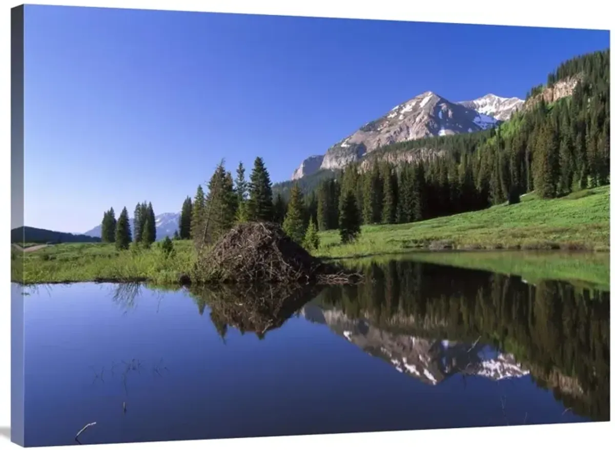 Gothic Mountain and Beaver Lodge, near Crested Butte, Colorado-Canvas Art-40x30