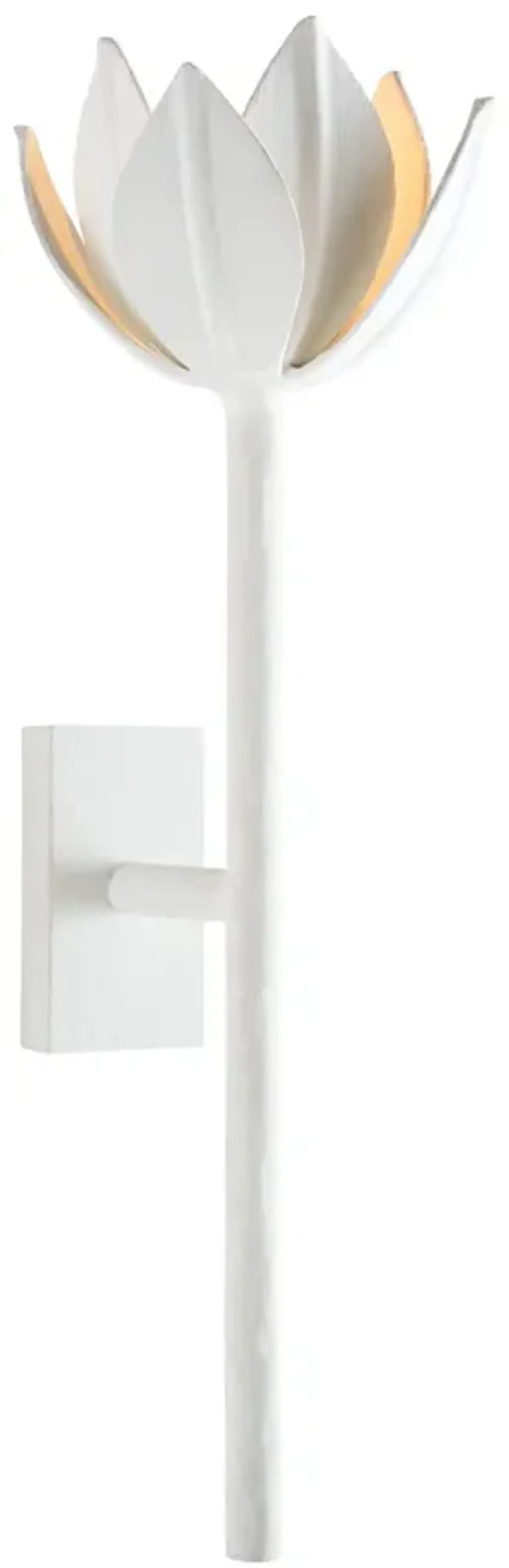 Alberto Medium Sconce