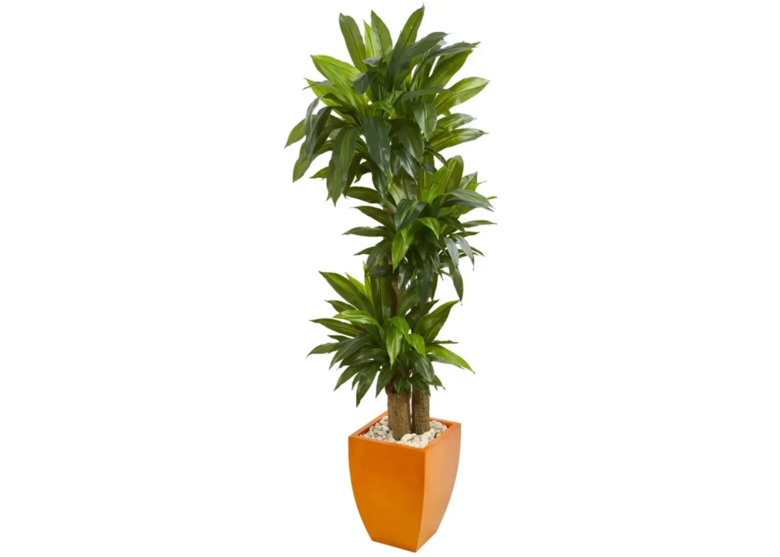 HomPlanti 5.5" Dracaena Plant in Orange Square Planter (Real Touch)