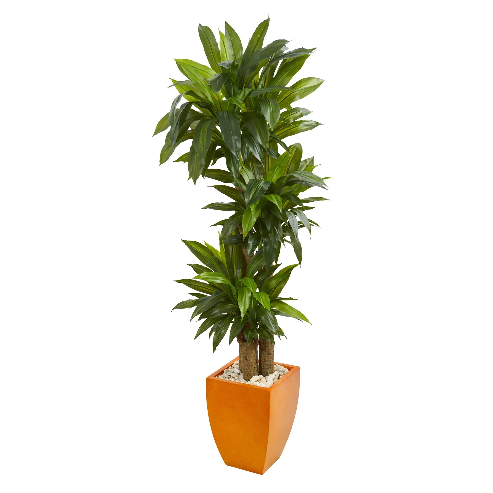 HomPlanti 5.5" Dracaena Plant in Orange Square Planter (Real Touch)