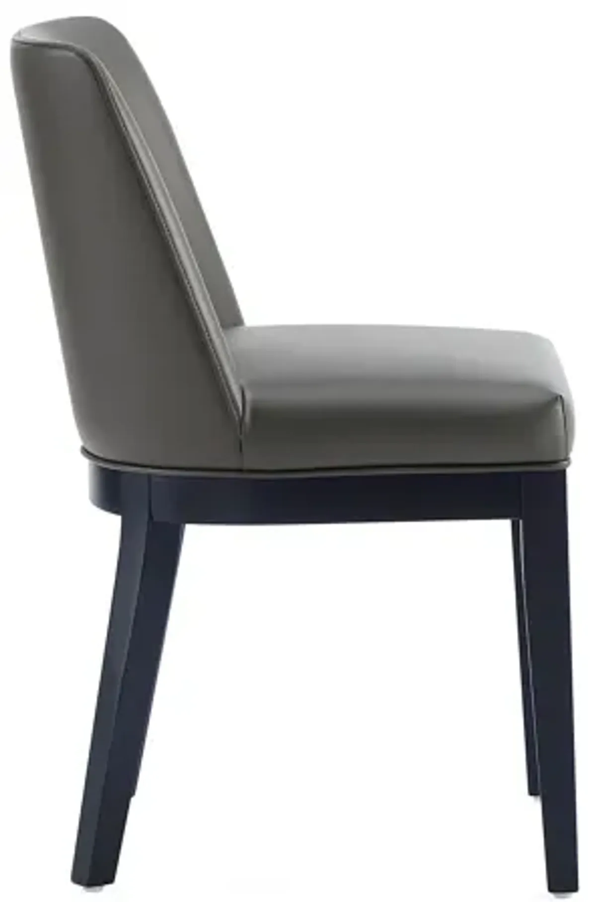 Gansevoort Dark Gray Dining Chairs (Set of 2)