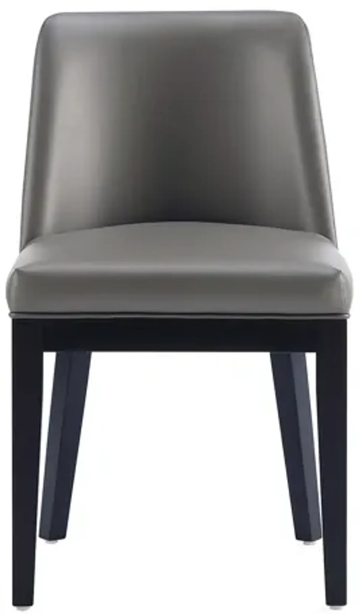 Gansevoort Dark Gray Dining Chairs (Set of 2)