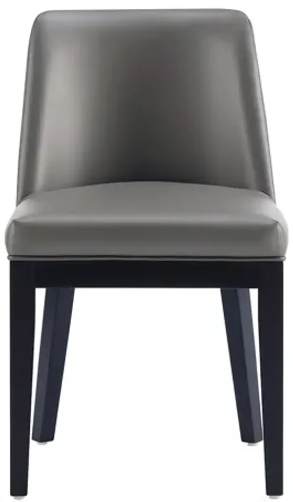 Gansevoort Dark Gray Dining Chairs (Set of 2)