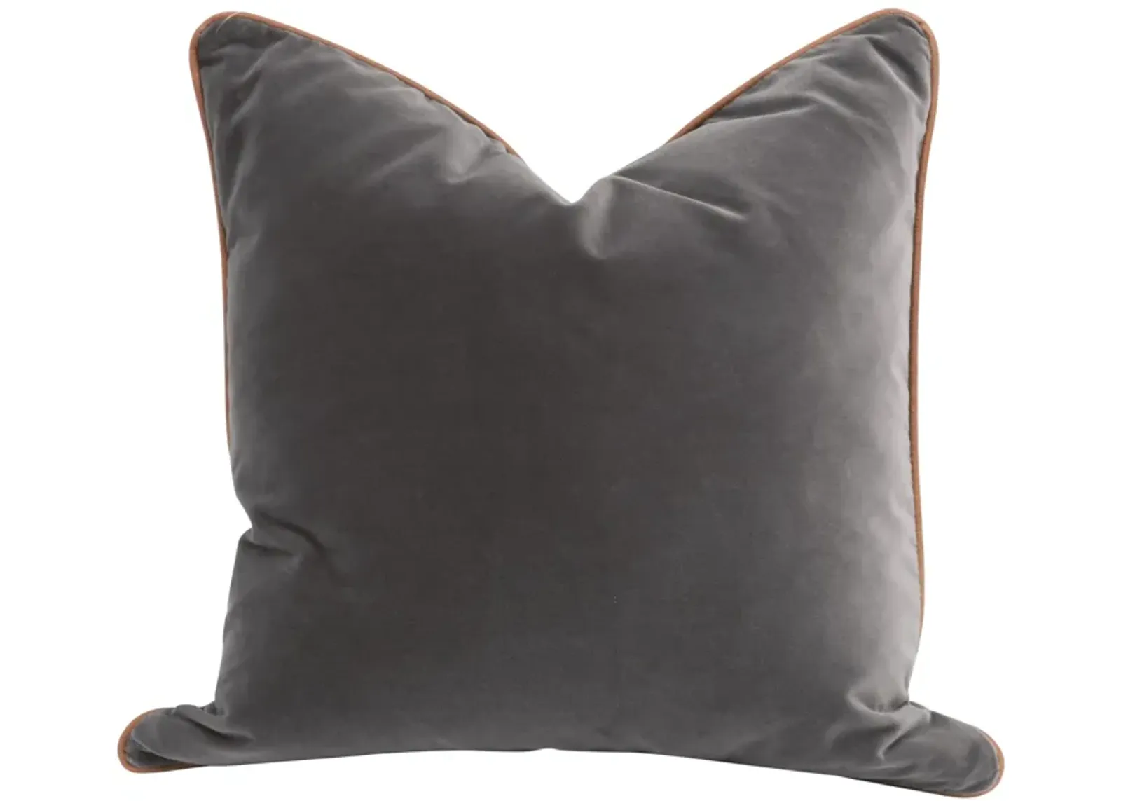 The Not So Basic 20" Essential Pillow (Set of 2)