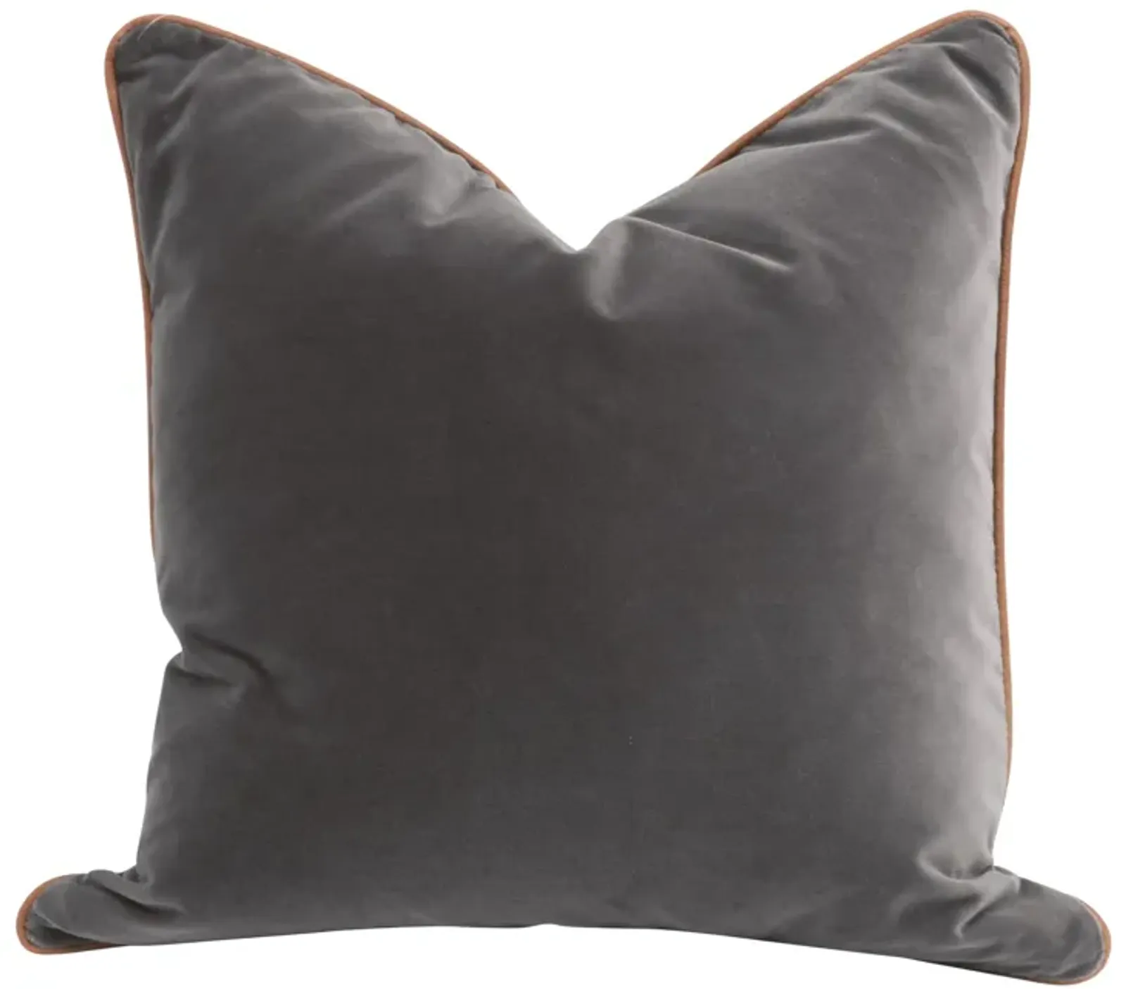 The Not So Basic 20" Essential Pillow (Set of 2)