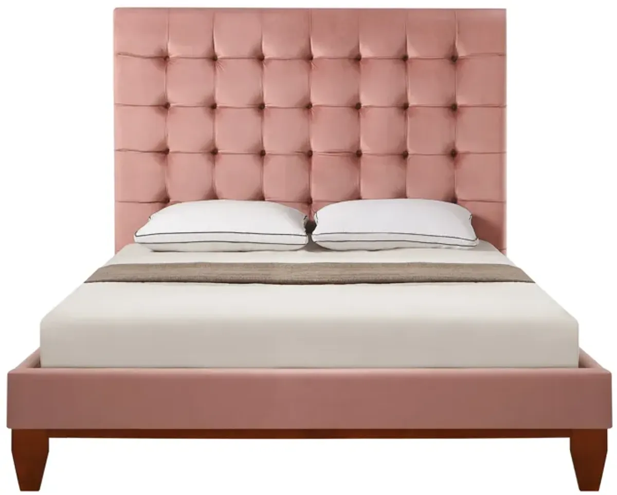 Inspired Home Sabina Platform Bed