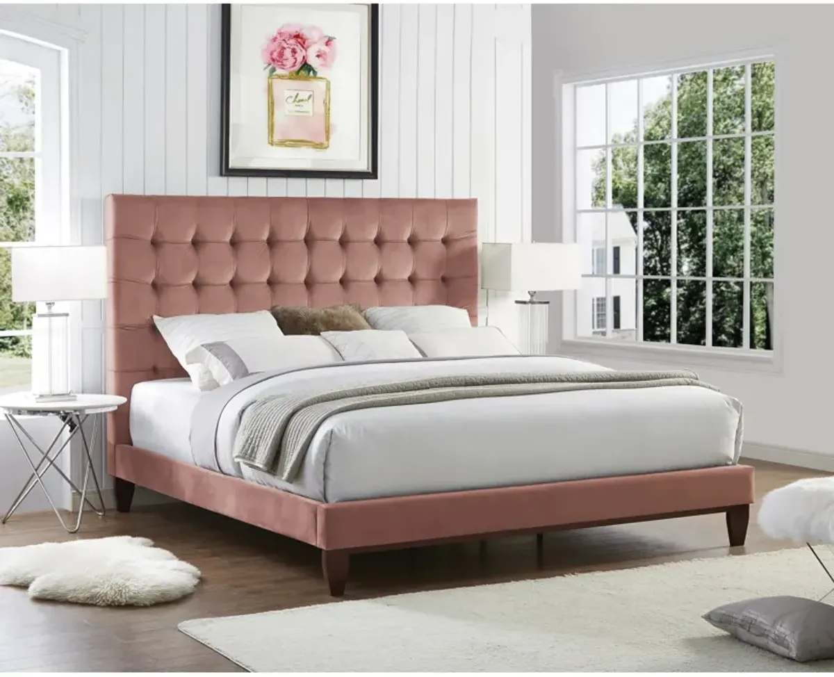 Inspired Home Sabina Platform Bed