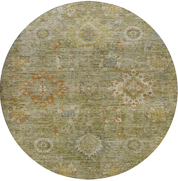 Silk Road SR9 Sage 8' Round Rug