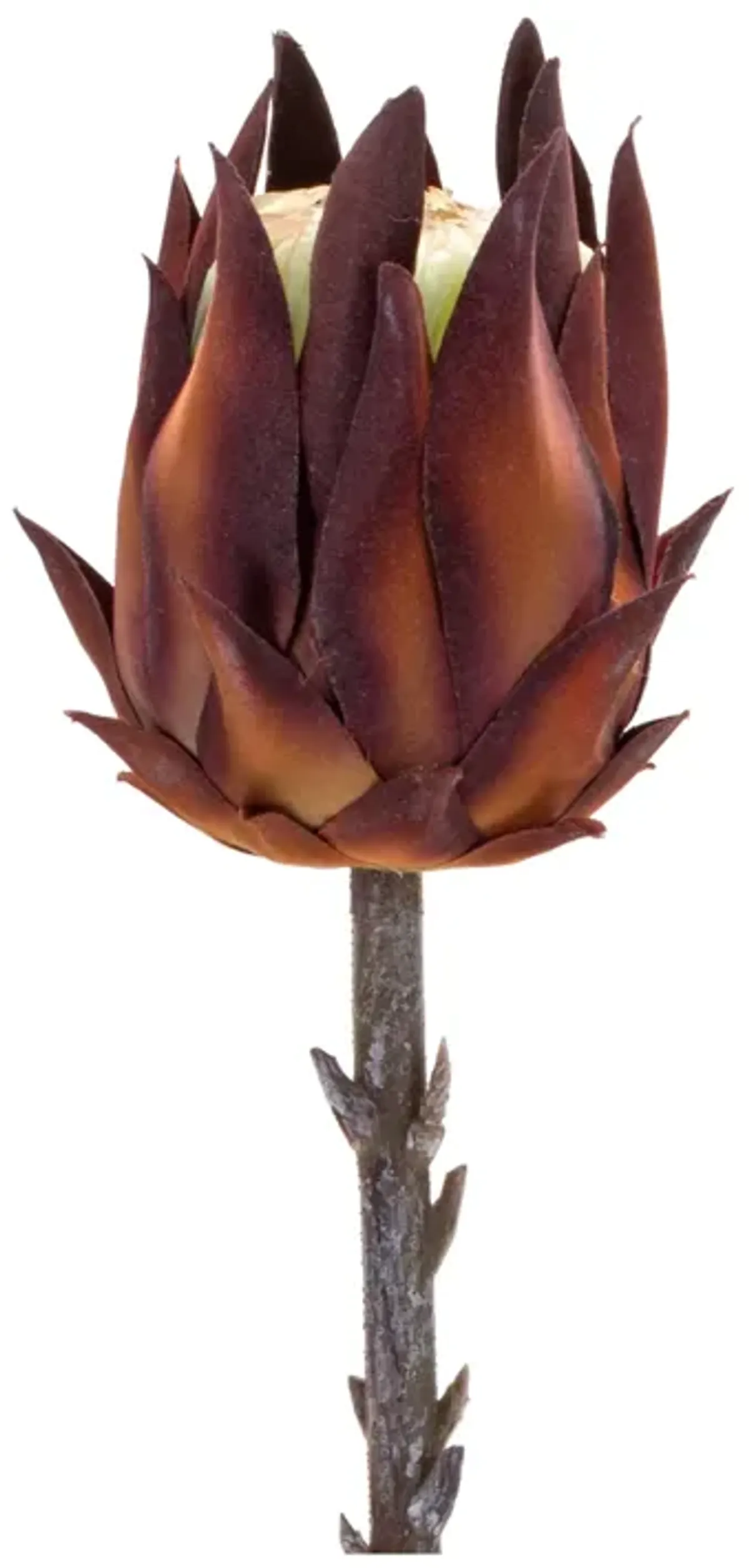 Set of 6 Stunning Exotic Protea Stems Bold Artificial Blooms for Unique Floral Arrangements