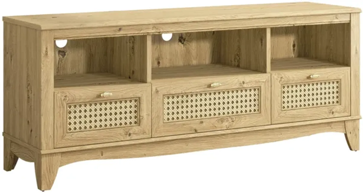 FESTIVO 55" TV Stand with Wicker Door Design for TVs up to 65"