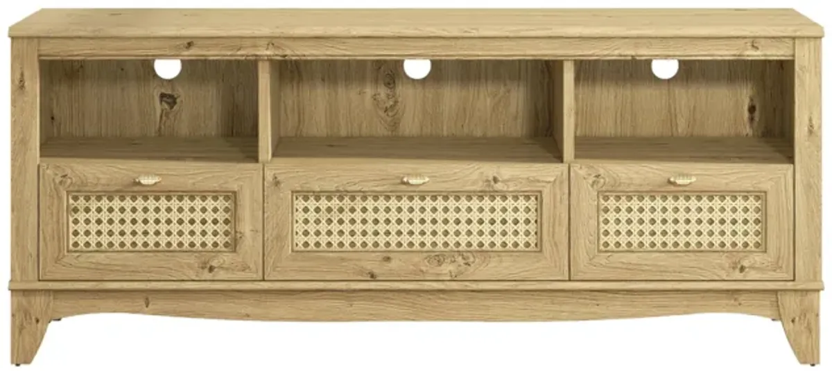 FESTIVO 55" TV Stand with Wicker Door Design for TVs up to 65"