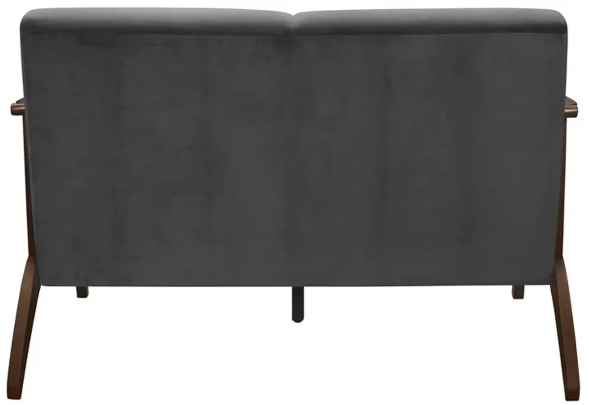 Rica 51 Inch Loveseat, Curved, Dark Gray Velvet, Walnut Brown Solid Wood - Benzara