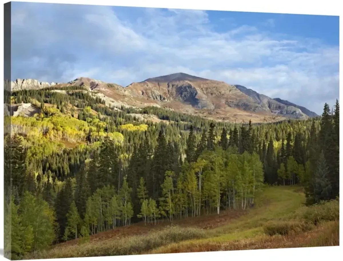 Ruby Peak near Crested Butte, Colorado-Canvas Art-40x30