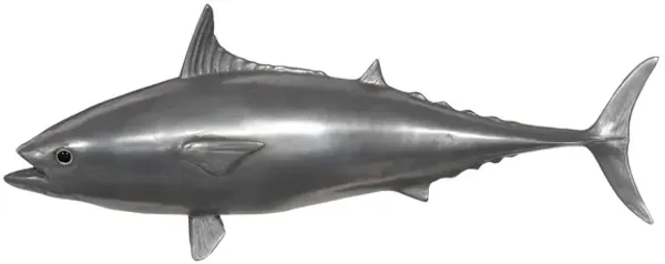 Mackerel Fish Wall Sculpture
