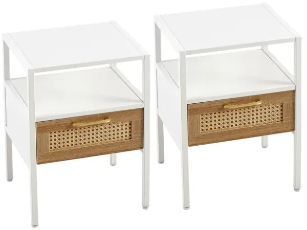 Set of 2 Rattan Nightstands End Tables with Drawer & Metal Legs for Bedroom & Living Room