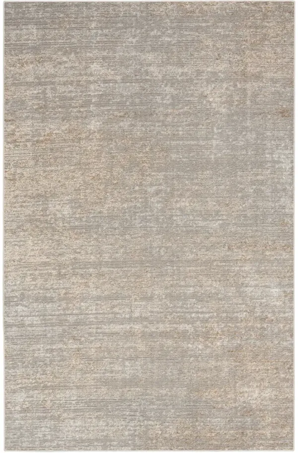 CK029 Captivating CVT01 Gray/Beige 3'2" x 5' Rug