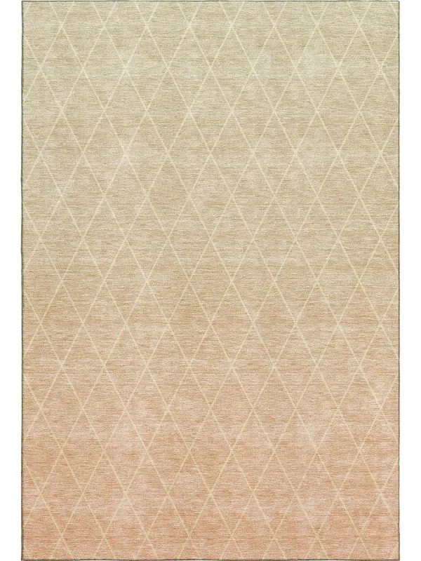 Lazio LZ2 Salmon 30" x 46" Rug