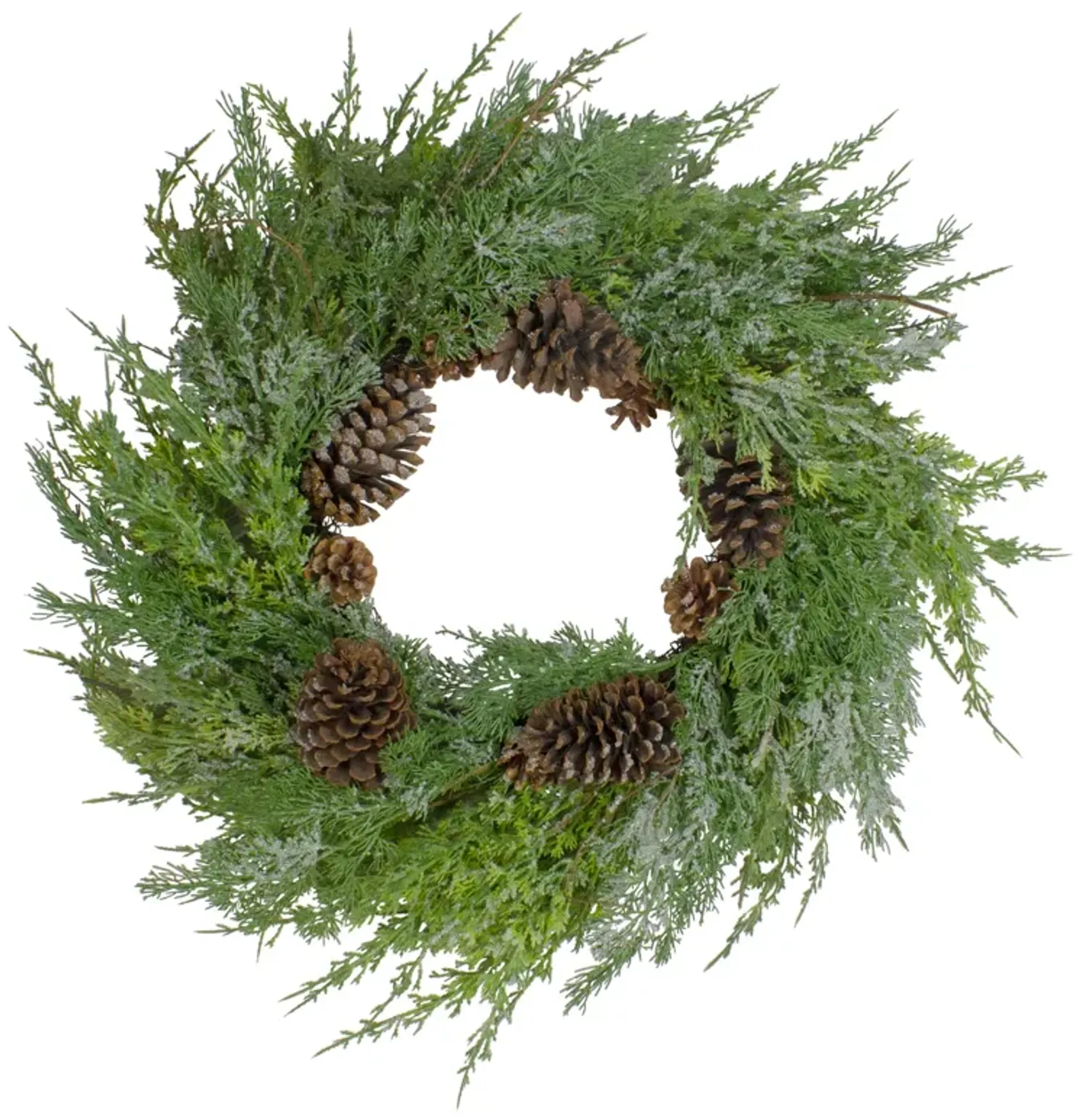 Frosted Cedar and Pine Cone Artificial Christmas Wreath  26-Inch  Unlit