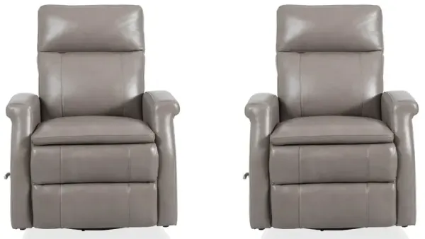 Parker Living Bristol - Graphite Swivel Glider Recliner Two Pack