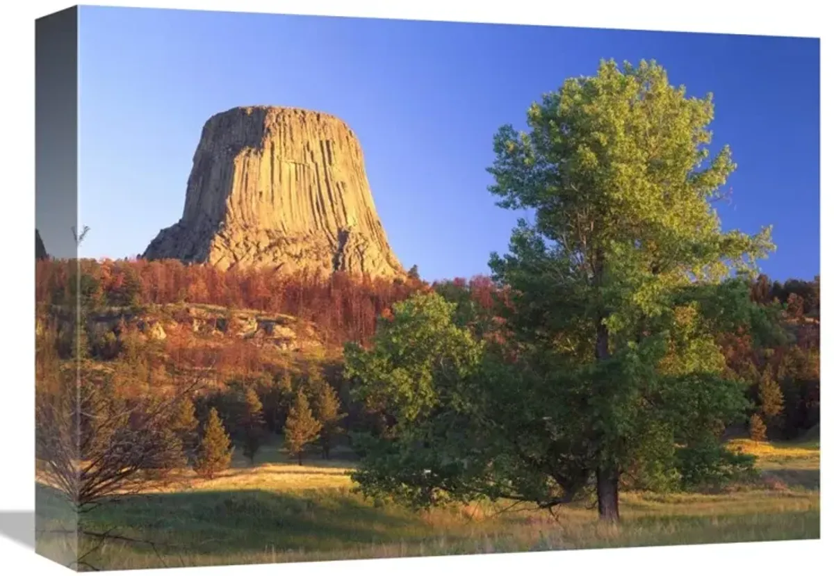 Devils Tower National Monument showing famous basalt tower, sacred site for Native Americans, Wyoming-Canvas Art-16x12