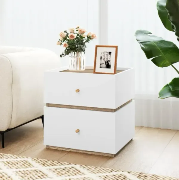 Hivvago 2-Drawer Modern Nightstand with Storage for Living Room Bedroom