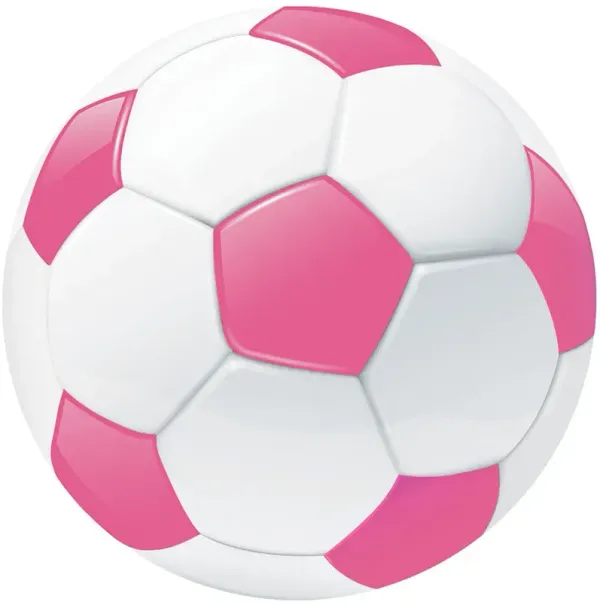 Imagination IMA08 Pink 5' x Round Rug