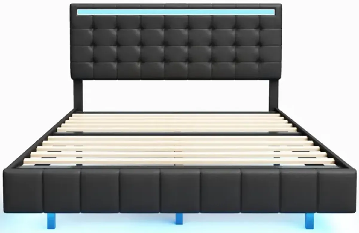 Floating Queen Bed Frame with LED & USB Charger