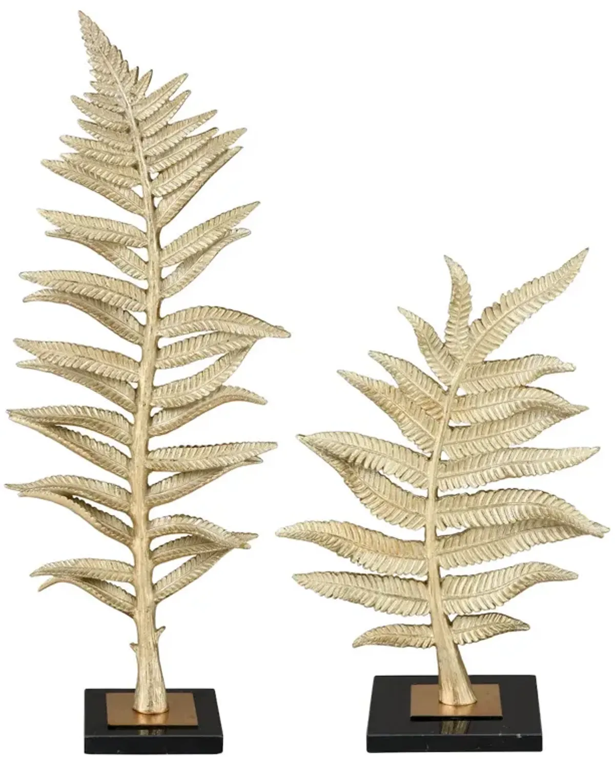 Fern Set