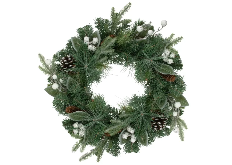 Frosted White Berry and Mixed Pine Artificial Christmas Wreath  24-Inch  Unlit