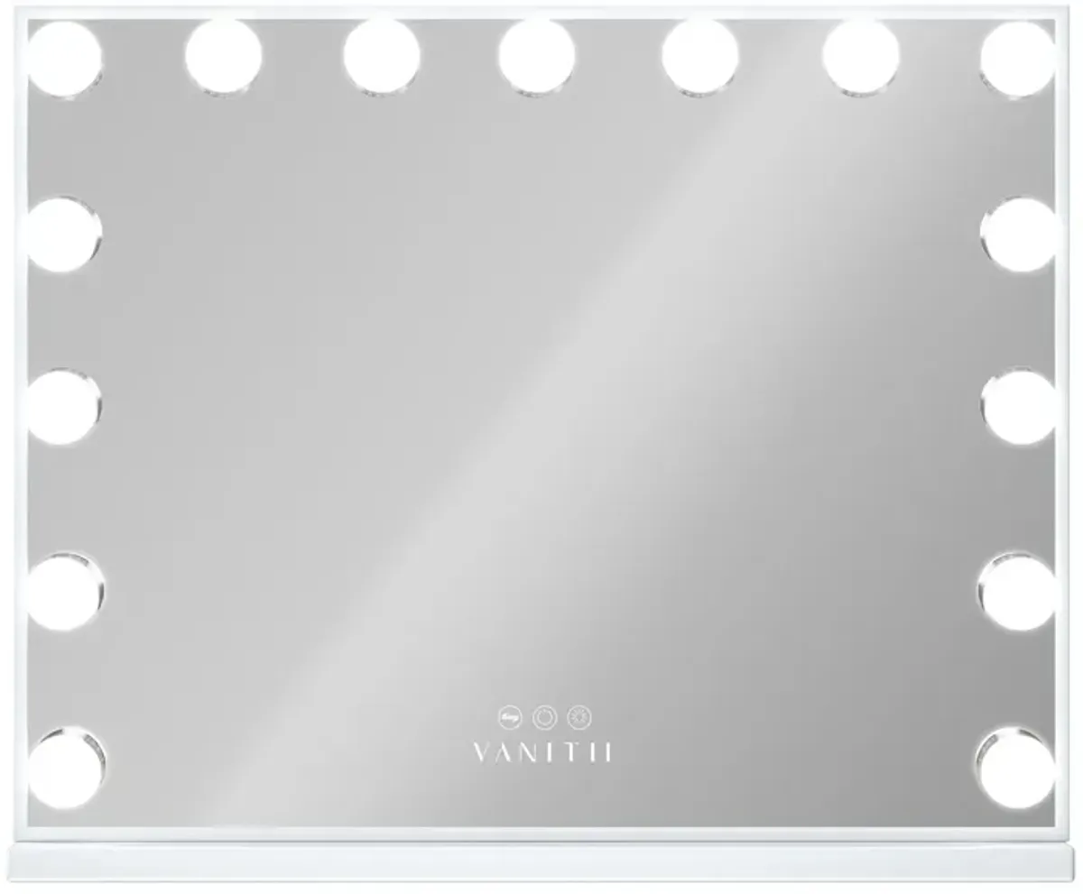 23''x19''  Hollywood Makeup Vanity Mirror 15 LED Bulbs USB Port White