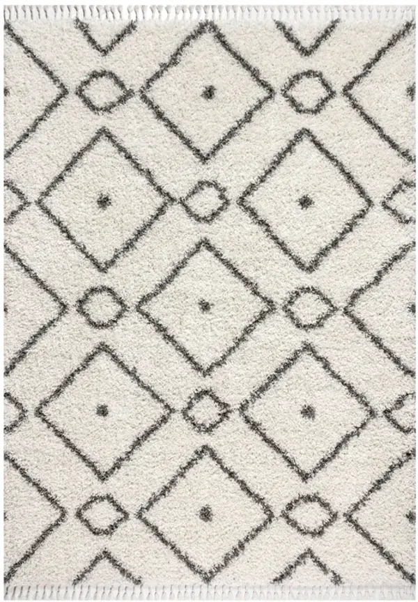 Mercer Shag Plush Tassel Moroccan Diamond Area Rug