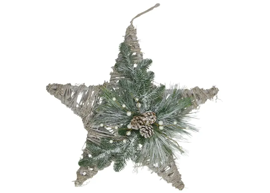 24" Green  Gray  and Brown Frosted Mixed Pine Hanging Star Christmas Ornament