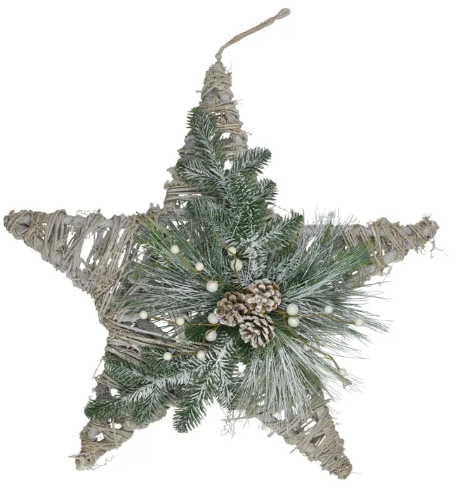 24" Green  Gray  and Brown Frosted Mixed Pine Hanging Star Christmas Ornament