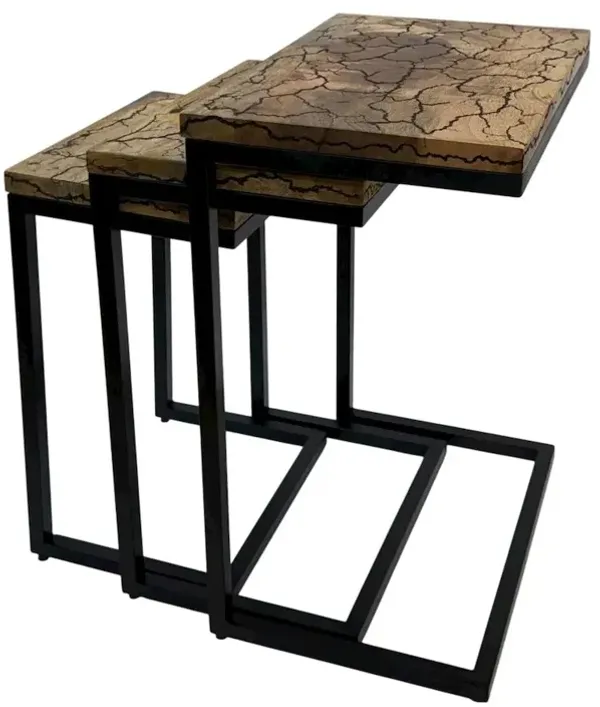 Carolina Chair & Table Electra 3 Piece Nesting Table Set - Electrified Wood - Black Iron