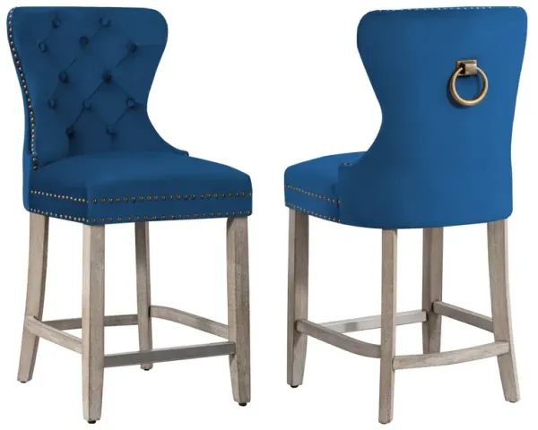 WestinTrends 24" Tufted Velvet Counter Stool (Set of 2)