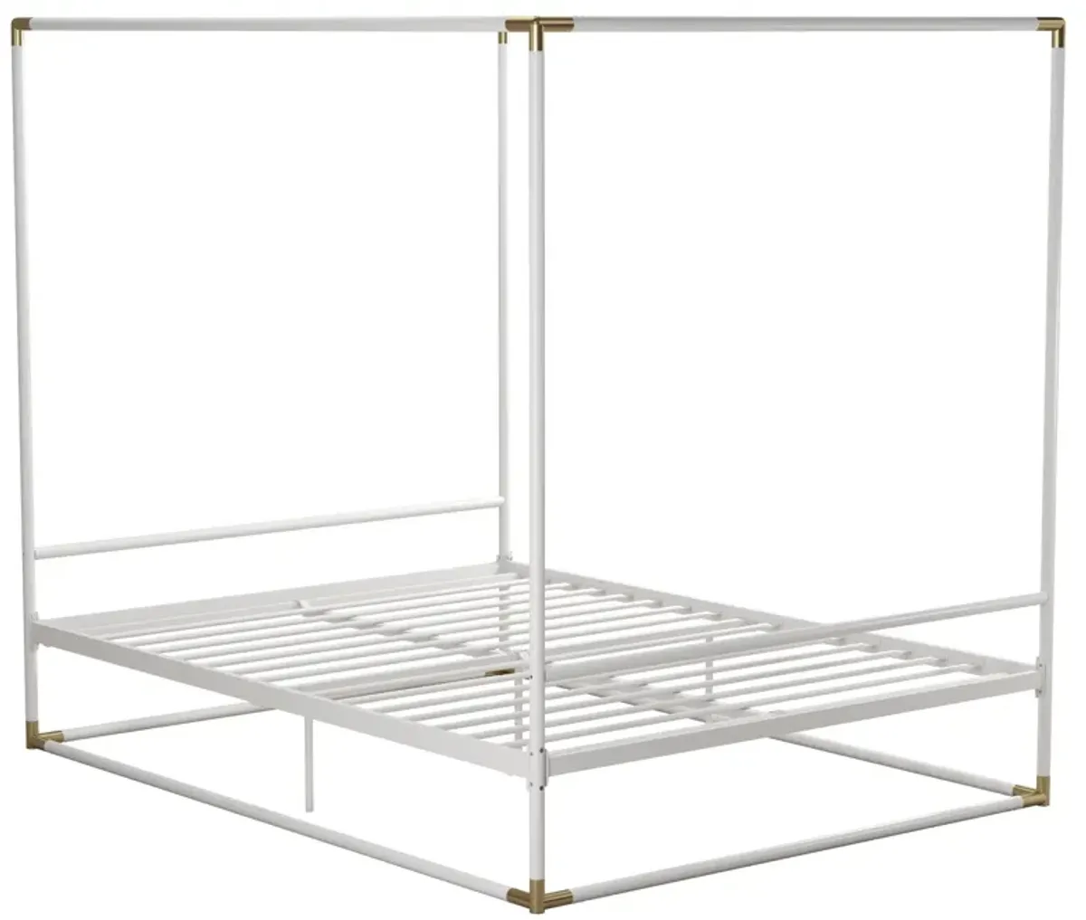 Celeste Canopy Metal Bed